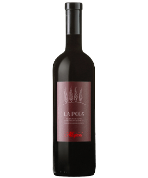 ALLEGRINI LA POJA - 750ML          